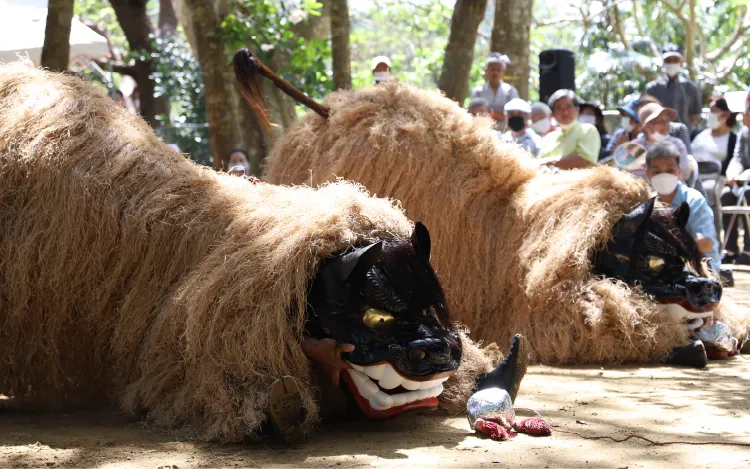 Main lion dance