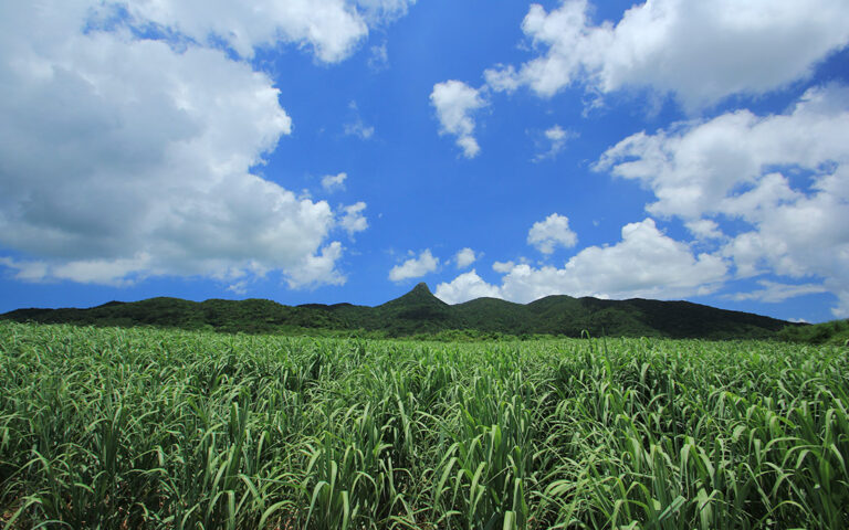 野底マーペー